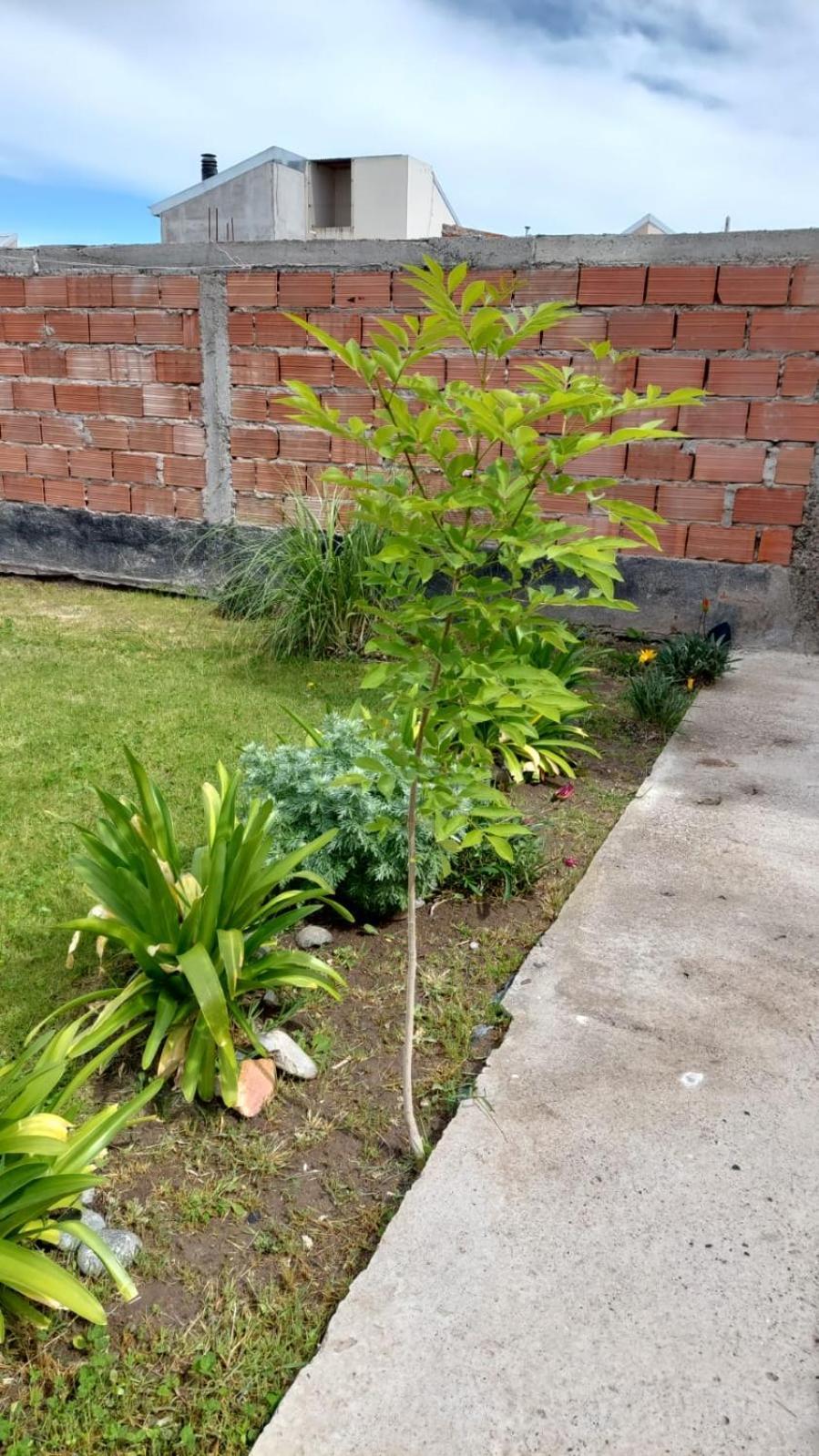 Habitacion Privada En La Casa De Thor Трелью Екстер'єр фото